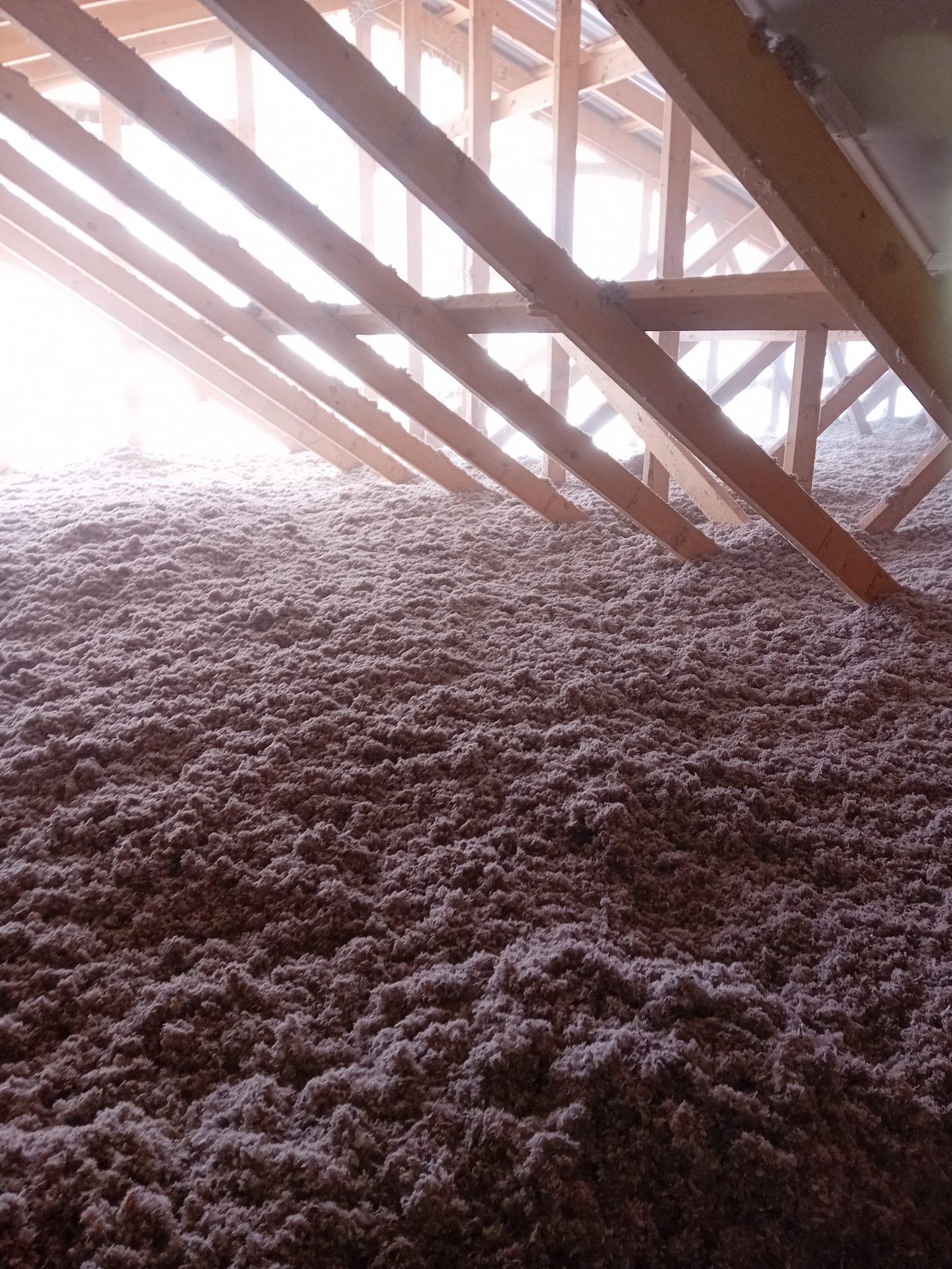 Blown-in insulation filling attic cavity