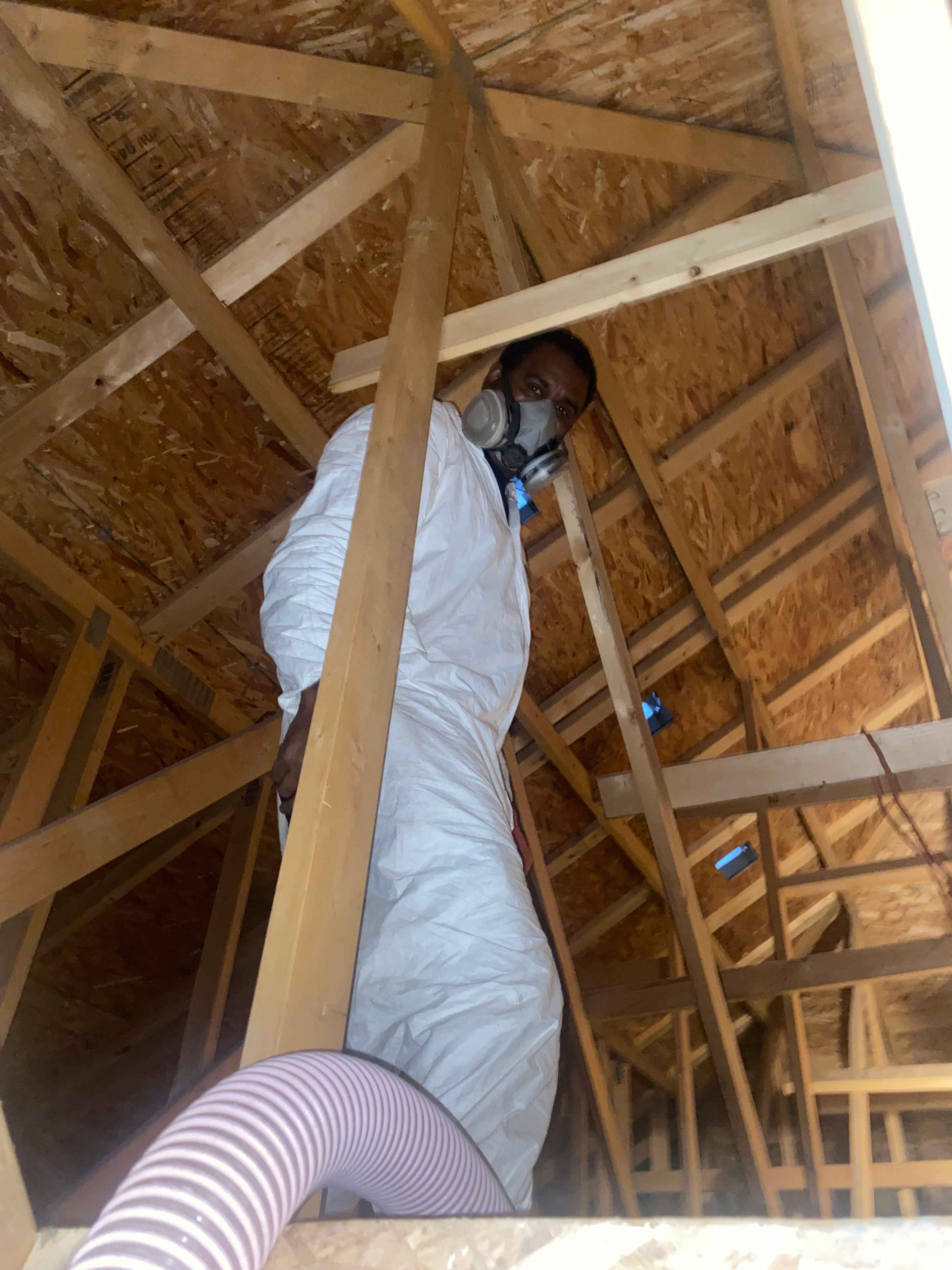 Blown-In Insulation